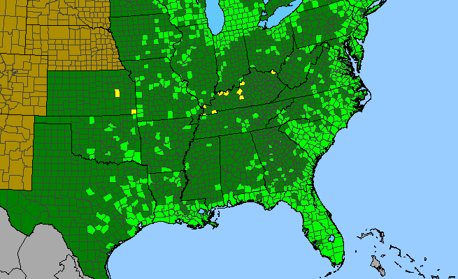 The range of Pontederia cordata var. lancifolia